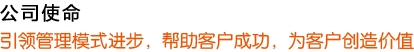 公司使命
